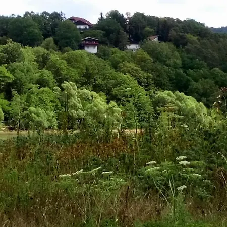 Holiday home Im Ederbergland Hatzfeld